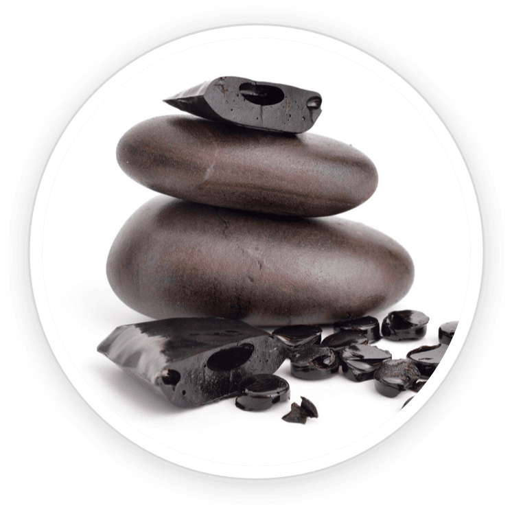 Shilajit Extract